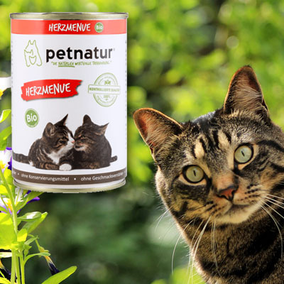 Hochwertige und natürliche Nahrung für Ihre Katze 